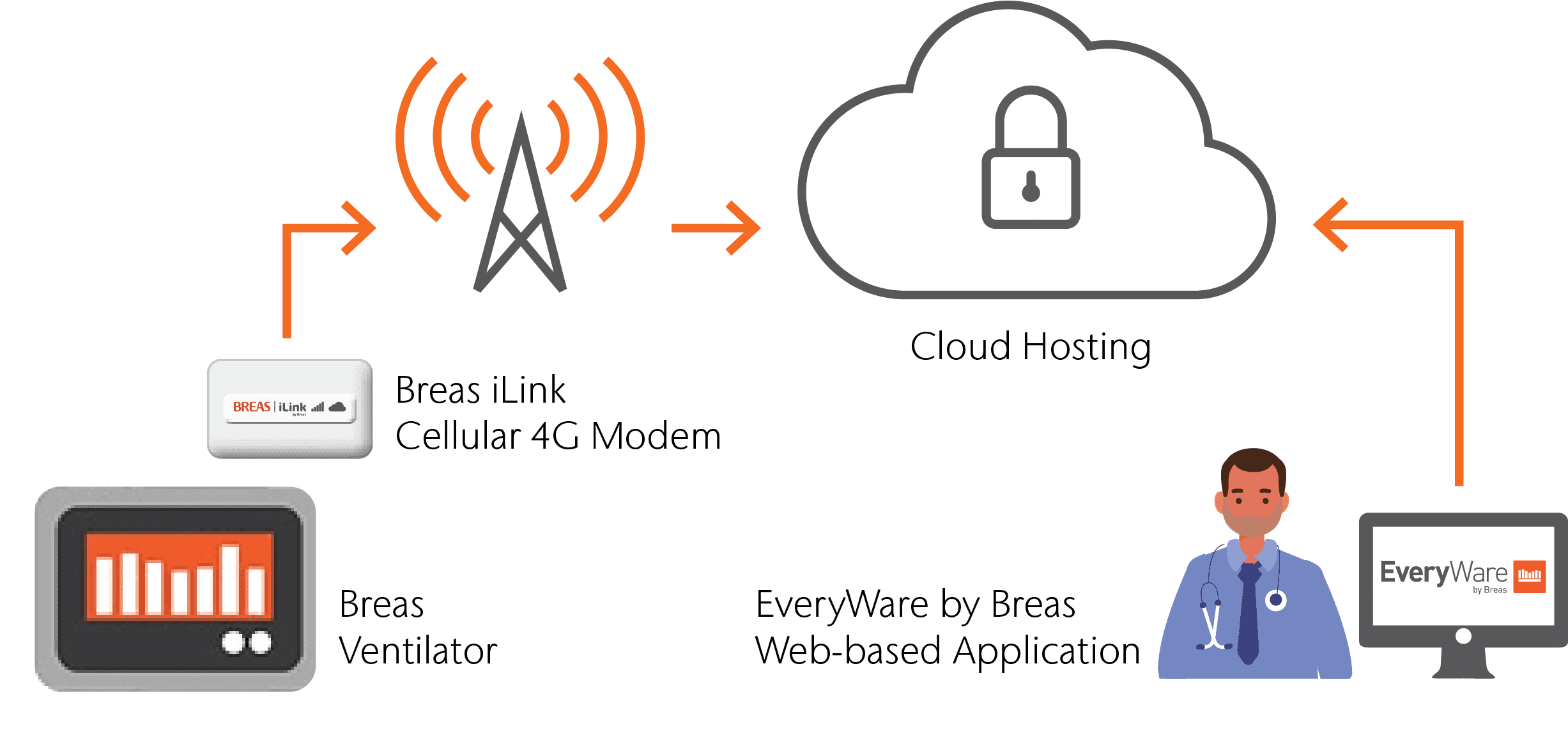 EveryWare Ecosystem